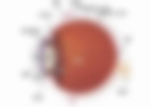 诸城市人民医院眼科医院预约方式