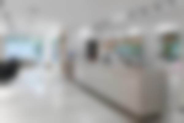 北京大学第一医院顾强医生擅长项目