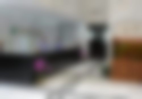 宁夏医 科 大学总医院赵向东医生简介