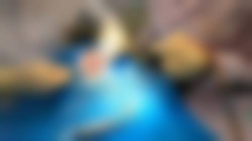 深圳尔睦丽沙口腔门诊部叶嘉仪医生擅长项目