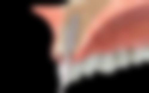 沈阳二0四 医院朱钰医生擅长项目