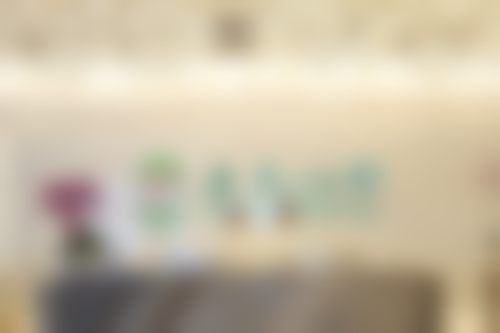 深圳正夫口腔门诊（华强北旗舰店）医院特色项目