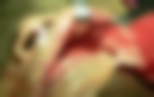 昆山开心口腔诊所