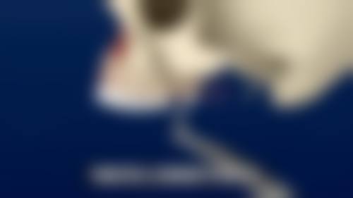 福建医 科 大学附属协和医院陈文华医生的收费价格表