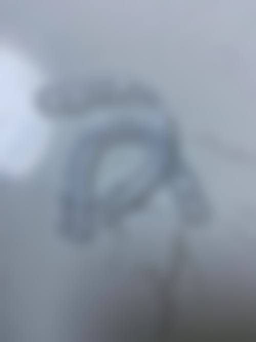 佛山广大口腔门诊部（禅城院）魏婷医生怎么预约挂号