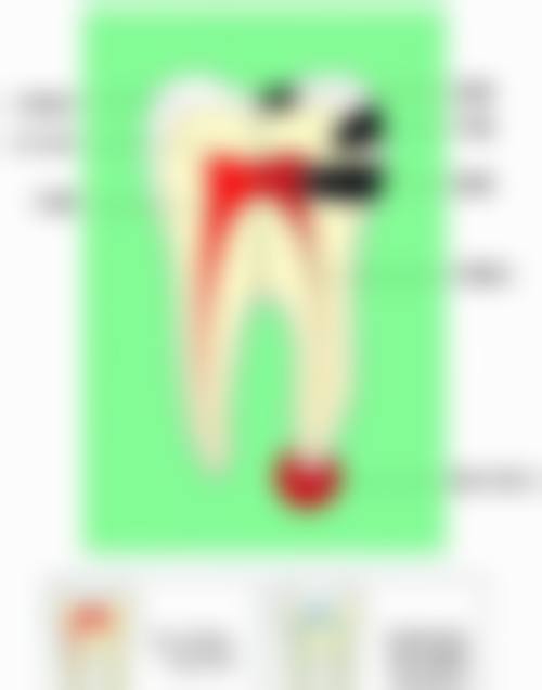 江苏省第二中医院冯进医生执业信息