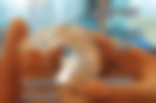 河北省保定市第二医院庞杰医生的收费价格表