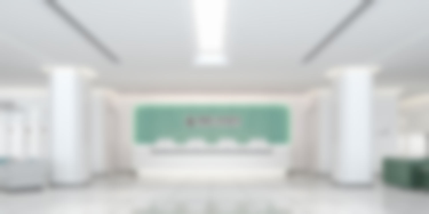 其他项目:多样化选择,满足不同需求