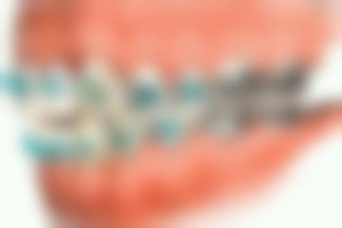 杨正辉医生的收费价格表