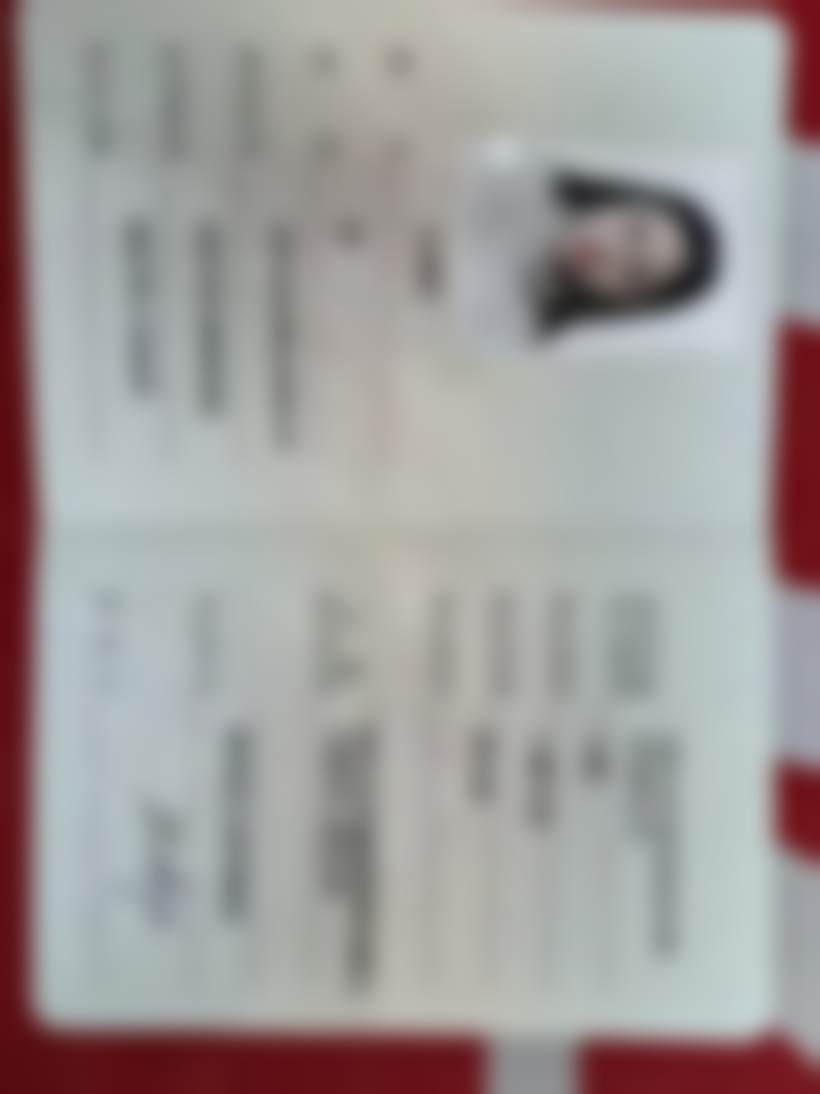 P60补牙材料特点