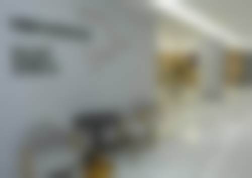 襄阳大众口腔门诊部（沃尔玛店）医院特色项目