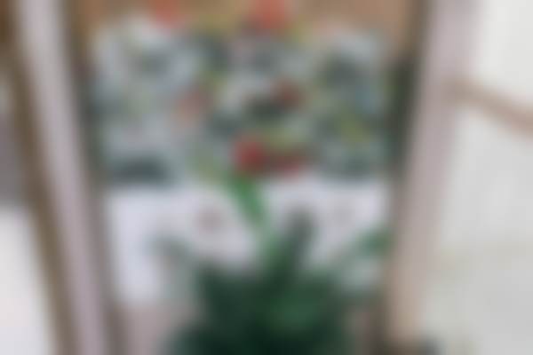 杭州冠扬口腔医院