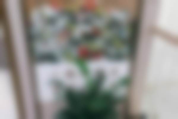 杭州冠扬口腔医院医院项目价格