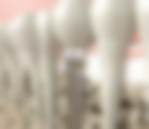 首都医 科 大学附属北京中医医院王帅医生擅长项目