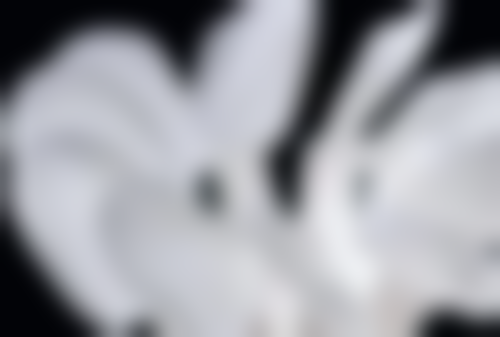 绥江艾尚唐口腔医院卫健委资质