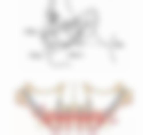 首都医 科 大学附属北京中医医院王帅医生简介