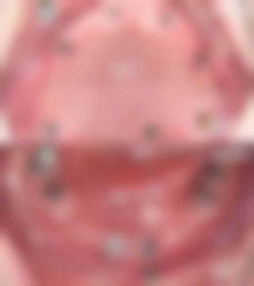 国内人民解放军总医院王帅医生擅长项目