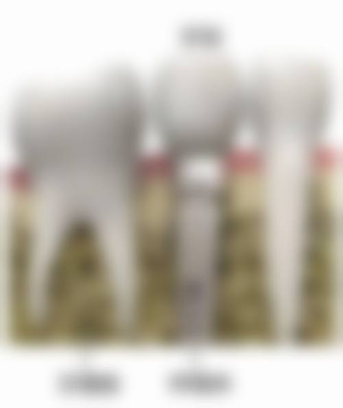 威海美辰口腔医院慕宗杰医生怎么预约挂号