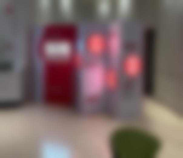 项目优势：高性价比与优质服务