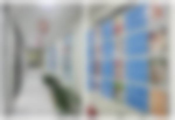 南京贝鹤雅康口腔连锁医院项目价格