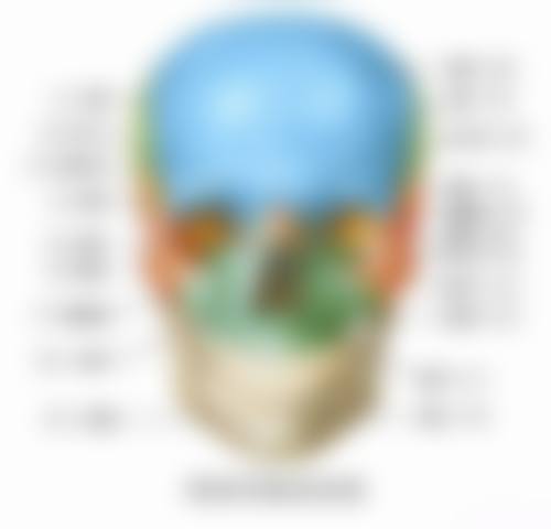 荆门市第二人民医院李成龙医生的收费价格表