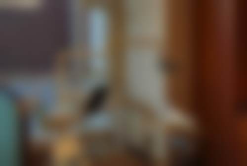 绵阳市游仙区妇幼保健院朱云涛医生的收费价格表