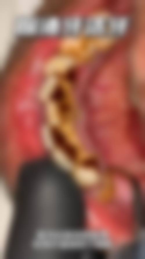 深圳市深圳仁盈堂中医馆李荣华医生执业信息