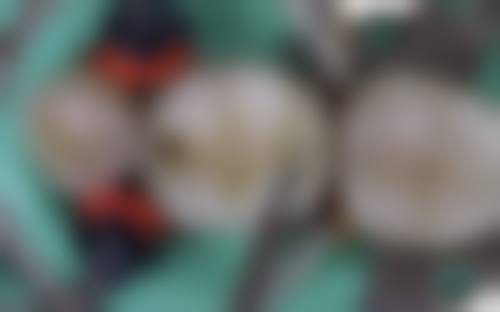 北京嘉信西科码口腔门诊部杨京粼医生擅长项目