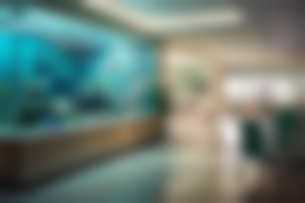 安徽省第二人民医院口腔科