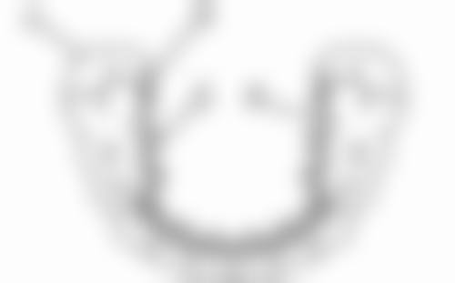 宿州市埇桥区褚兰镇卫生院刘鸣医生口碑评价