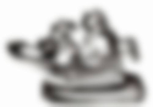 哈尔滨医 科 大学附属第二医院刘鸣医生简介