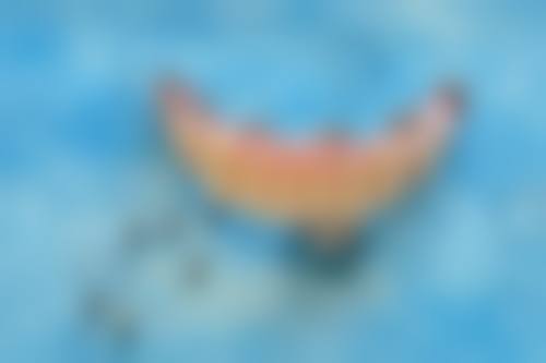 山东第一医 科 大学附属肿 瘤医院李金鹏医生口碑评价