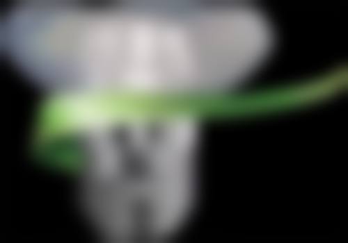 国内科学 院大学宁波华美医院戴智威医生简介