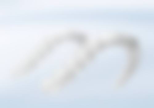 嘉兴艺星医疗美容医院李荣华医生简介