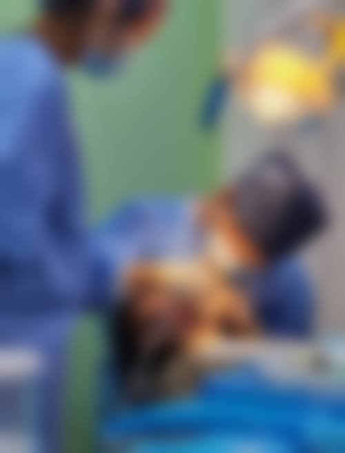 嘉兴艺星医疗美容医院李荣华医生擅长项目