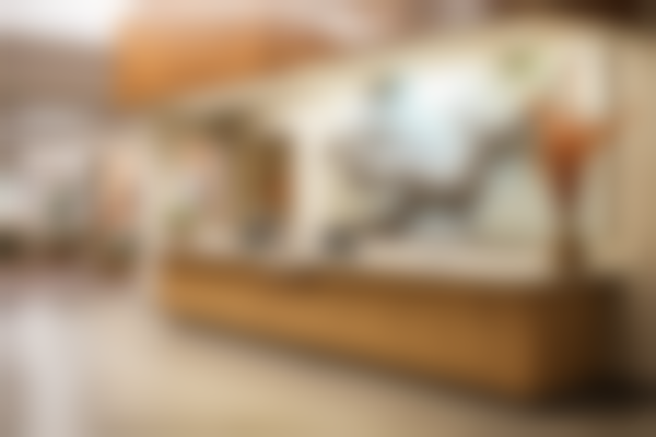 岳阳市人民医院口腔科