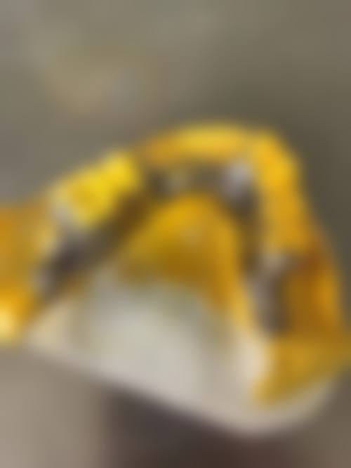 长沙县星沙李荣华口腔诊所李荣华医生怎么预约挂号