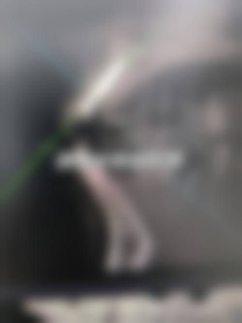 南昌大学第二附属医院李金鹏医生怎么预约挂号