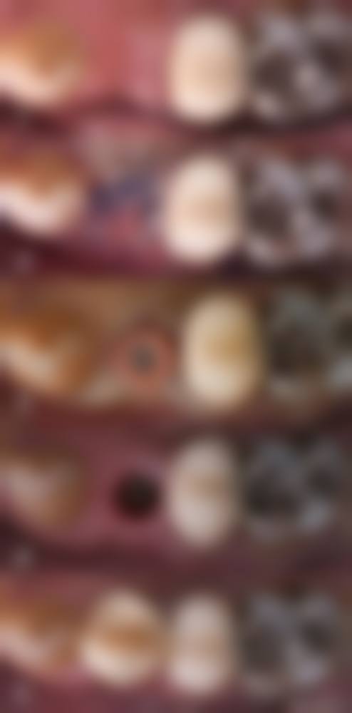 上海交通大学医学校附属瑞金医院陶波医生执业信息