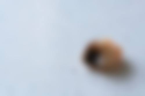 来安县人民医院李娇娇医生的收费价格表