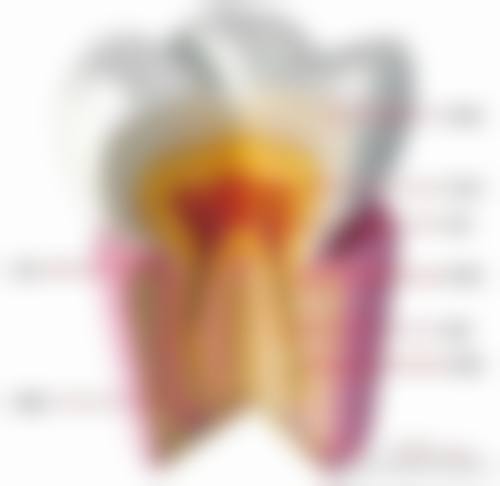 榆林市第一医院李娇娇医生技术特色