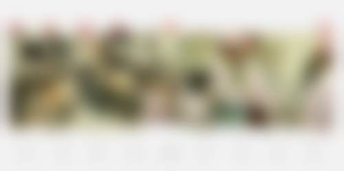 海口市人民医院林刚医生简介