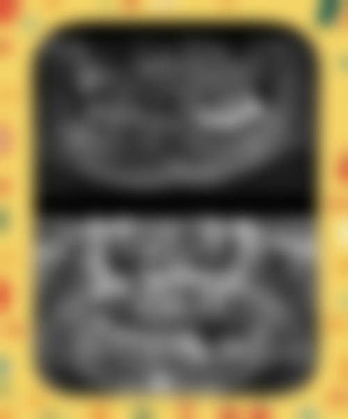 洛阳新意九龙口腔门诊部等赵敬博医生口碑评价