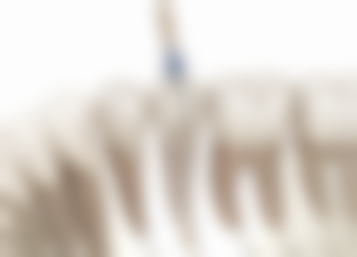 首都医 科 大学附属北京朝阳医院王伟医生口碑评价