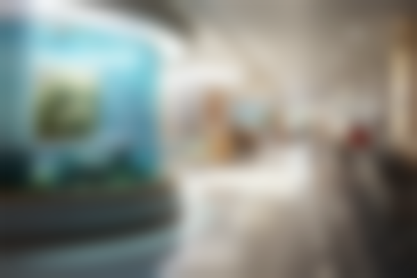 南方医院赣州医院口腔颌面外科