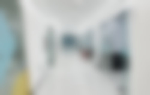 石家庄李向飞牙科李向飞医生擅长项目