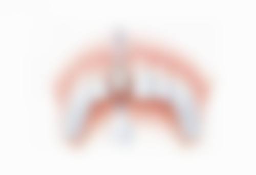 桂林市妇幼保健院王爱武医生执业信息