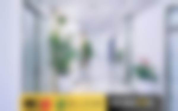 深圳市人民医院龙华分院苑新蔚医生怎么预约挂号