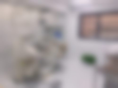 广州增城区缪氏口腔门诊部（凤盈苑店）医院开展项目