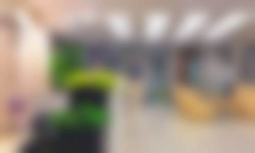 XX医院李轶璞医生擅长项目